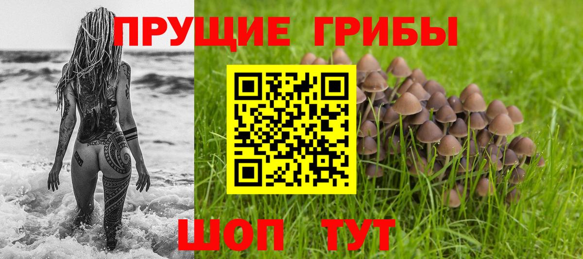 Рассказово  Псилоцибиновые грибы Psilocybe  Вход с VPN 